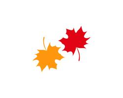 autumn Leaf vector illustration