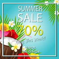 summer sale template with coconut vector