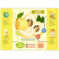 quince infographic vector