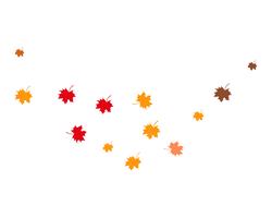 autumn Leaf vector illustration