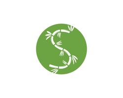 Bamboo logo with green leaf for your icon vector template