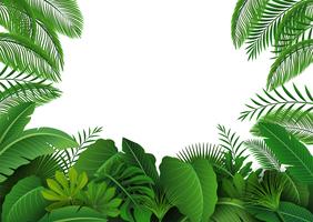 Background of Tropical Leaves. Suitable for nature concept, vacation, and summer holiday. Vector Illustration