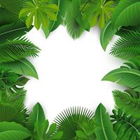 Background with text space of Tropical Leaves. Suitable for nature concept, vacation, and summer holiday. Vector Illustration