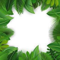 Fondo con espacio de texto de hojas tropicales. Adecuado para el concepto de naturaleza, vacaciones y vacaciones de verano. Ilustración vectorial vector