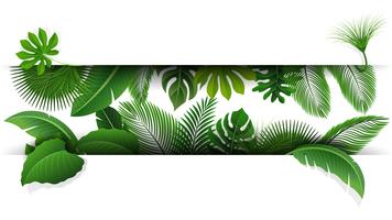 Firmar con el espacio de texto de hojas tropicales. Adecuado para el concepto de naturaleza, vacaciones y vacaciones de verano. Ilustración vectorial vector