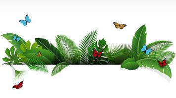 Firmar con el espacio de texto de hojas tropicales y mariposas. Adecuado para el concepto de naturaleza, vacaciones y vacaciones de verano. Ilustración vectorial