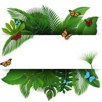Firmar con el espacio de texto de hojas tropicales y mariposas. Adecuado para el concepto de naturaleza, vacaciones y vacaciones de verano. Ilustración vectorial