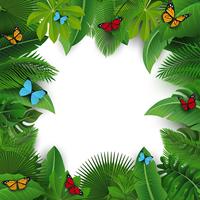 Fondo con espacio de texto de hojas tropicales y mariposas. Adecuado para el concepto de naturaleza, vacaciones y vacaciones de verano. Ilustración vectorial vector