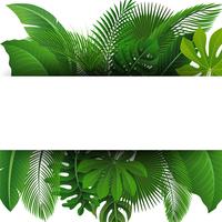 Firmar con el espacio de texto de hojas tropicales. Adecuado para el concepto de naturaleza, vacaciones y vacaciones de verano. Ilustración vectorial vector