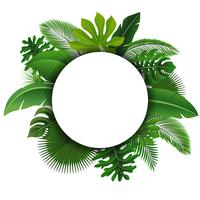 Signo redondo con espacio de texto de hojas tropicales. Adecuado para el concepto de naturaleza, vacaciones y vacaciones de verano. Ilustración vectorial vector