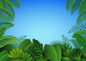 Fondo De Hojas Tropicales. Adecuado para el concepto de naturaleza, vacaciones y vacaciones de verano. Ilustración vectorial vector