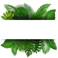 Sign with text space of Tropical Leaves. Suitable for nature concept, vacation, and summer holiday. Vector Illustration