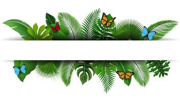 Firmar con el espacio de texto de hojas tropicales y mariposas. Adecuado para el concepto de naturaleza, vacaciones y vacaciones de verano. Ilustración vectorial vector