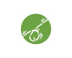Logotipo de bambú con hoja verde para su plantilla de vector icono