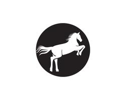 Cabeza de caballo negro Logo plantilla Vector