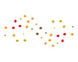 autumn Leaf vector illustration