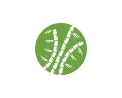 Logotipo de bambú con hoja verde para su plantilla de vector icono