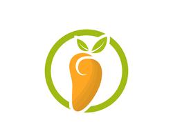 Mango in flat style mango logo mango icon vector image