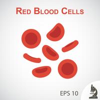 Red blood cells  flat design  on vignette background vector
