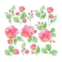 Watercolor Floral Set vector