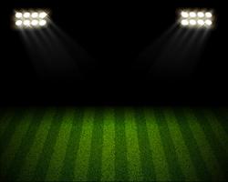 Soccer field arena lanscape vector