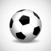 Standart Soccer ball  vector