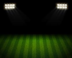 Soccer field arena lanscape vector