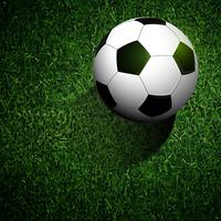 soccer ball on green grass vector