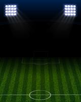 soccer stadium portrait vector