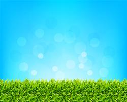 sky and grass background vector