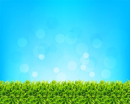 sky and grass background