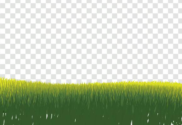 Green Grass Border, Isolated on Transparent Background, With Gra