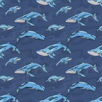 Whale seamless pattern handrawn 