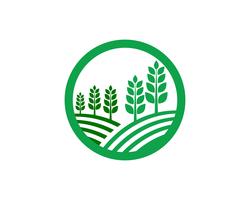 Agriculture business logo template unique green vector image