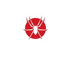 Spider logo vector illustrations