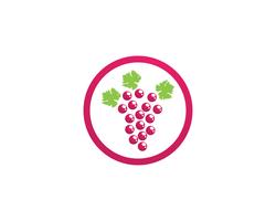 grape purple and green vector illustration