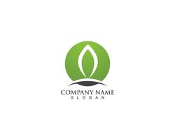 leaf green nature logo  vector