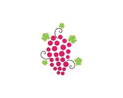 grape purple and green vector illustration