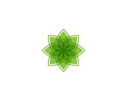 Tree Leaf  green Vector icon Illustration design template