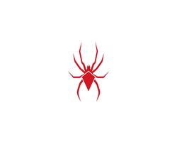 Spider logo vector illustrations