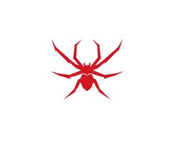 Spider logo vector illustrations