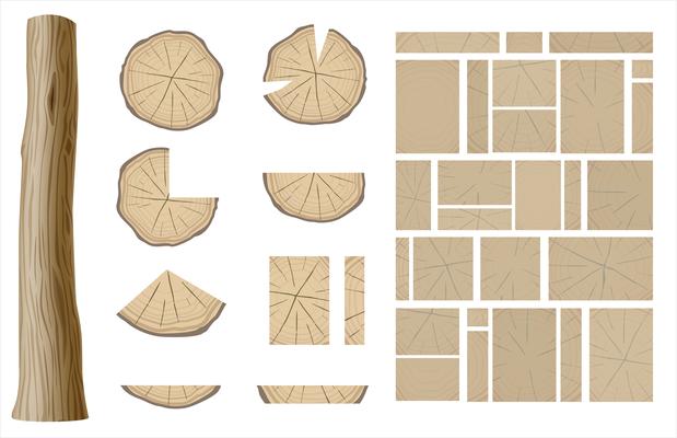 Set of different sections of wood