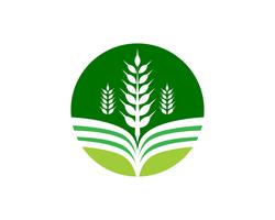 Imagen de vector verde único de plantilla de logotipo empresarial de agricultura