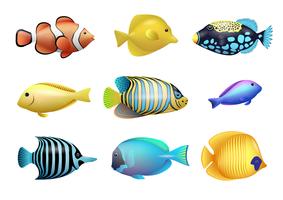 Conjunto de dibujos de brillantes peces tropicales exóticos. vector