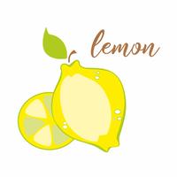 Lemon. Fruit. Inscription. Advertising banner. Vector illustration.