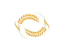 Trigo de agricultura Logo plantilla vector icono diseño