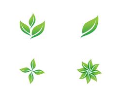 Green leaf logo  vector