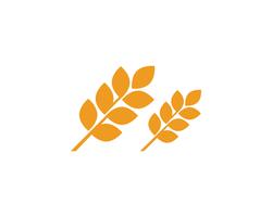 Logos de trigo de agricultura vector