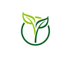 Logotipos de vector de elemento de naturaleza de hoja verde ecología