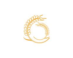 Agriculture wheat Logo Template vector icon design